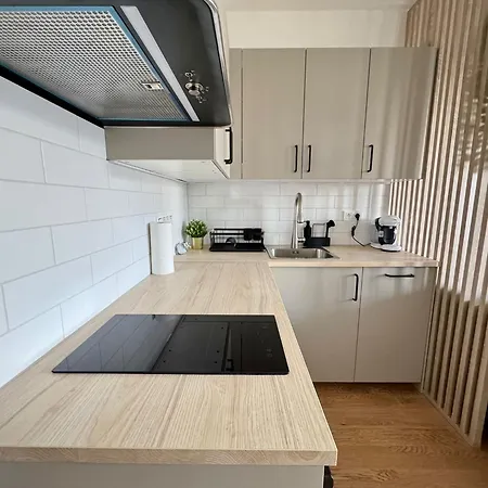 The Basilej Private Garden & Parking Apartman